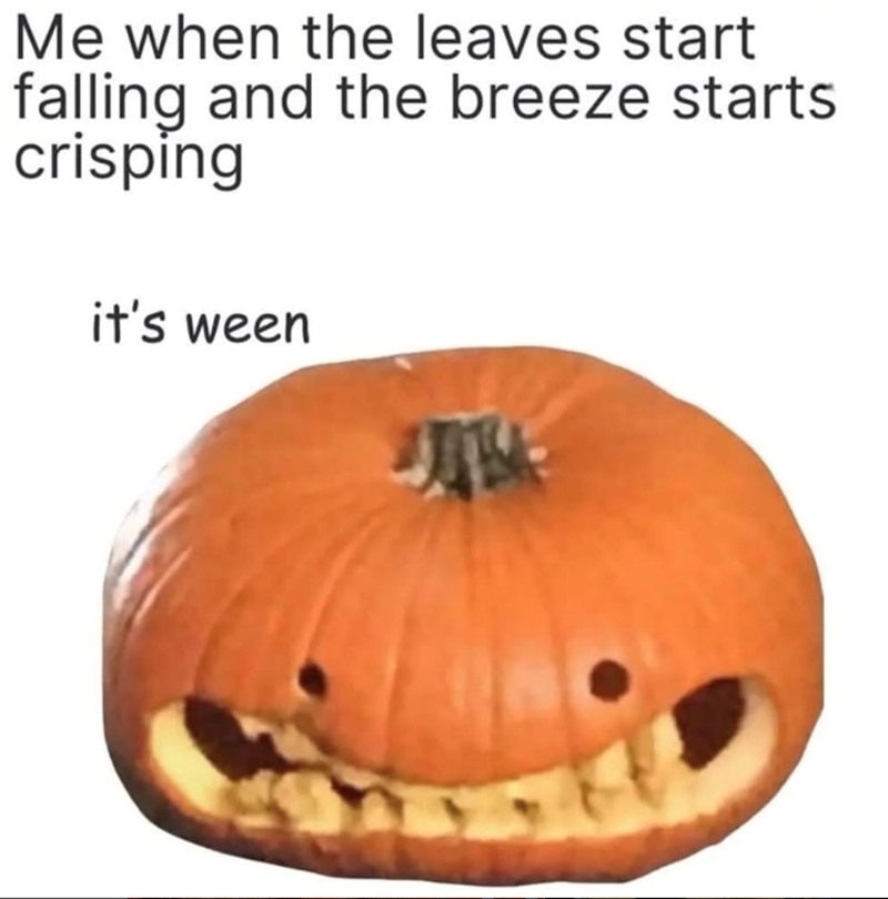 Me when the leaves start falling and the breeze starts crisping it's ween