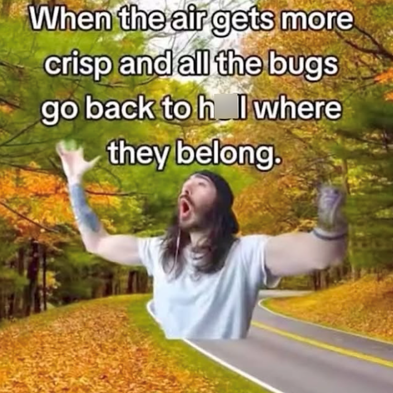 When the air gets more crisp and all the bugs go back to h I where they belong.