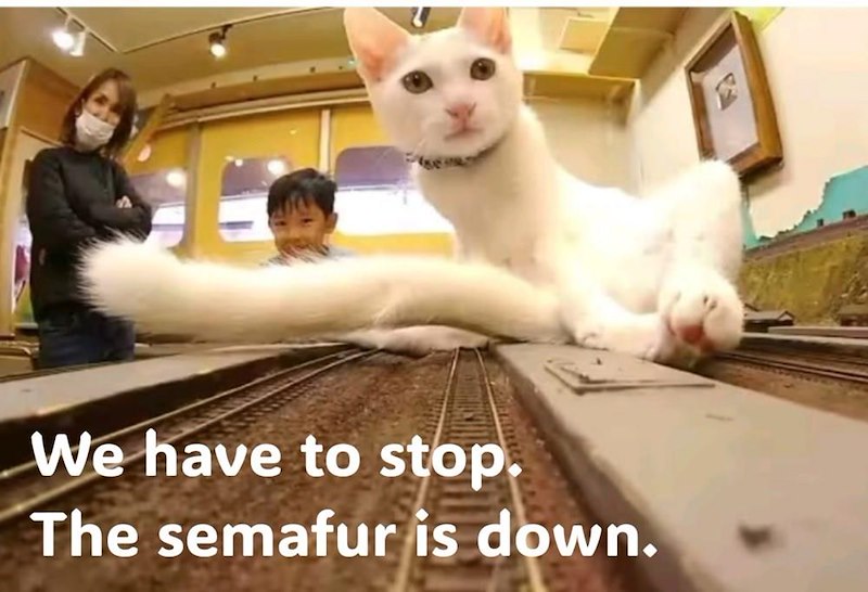 We have to stop. The semafur is down.