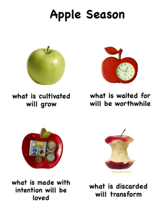 Apple Season what is cultivated will grow 028 what is waited for will be worthwhile @clownluver what is made with intention will be loved I what is discarded will transform