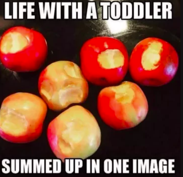 LIFE WITH A TODDLER SUMMED UP IN ONE IMAGE