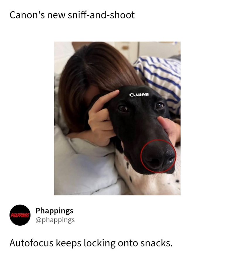 Canon's new sniff-and-shoot PHAPPINGS Phappings @phappings Canon Autofocus keeps locking onto snacks.
