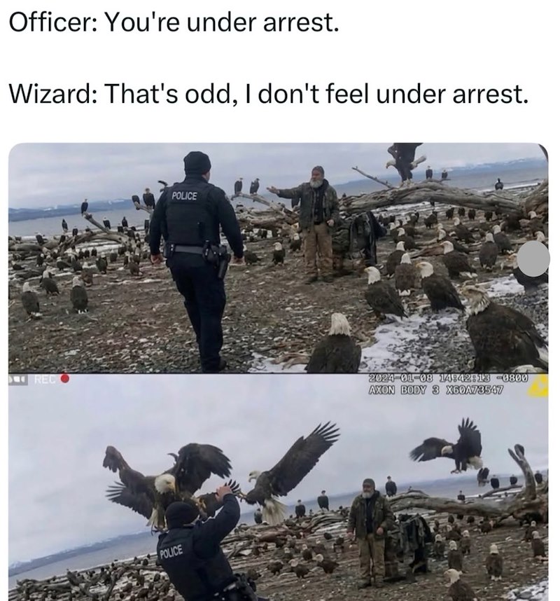 Officer: You're under arrest. Wizard: That's odd, I don't feel under arrest. POLICE REC 2024-01-08 14:42:13 -0800 AXON BODY 3 X60A73547 POLICE