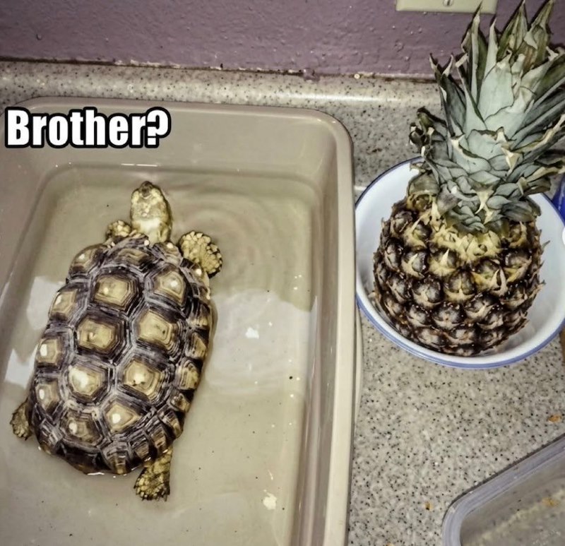 Brother?