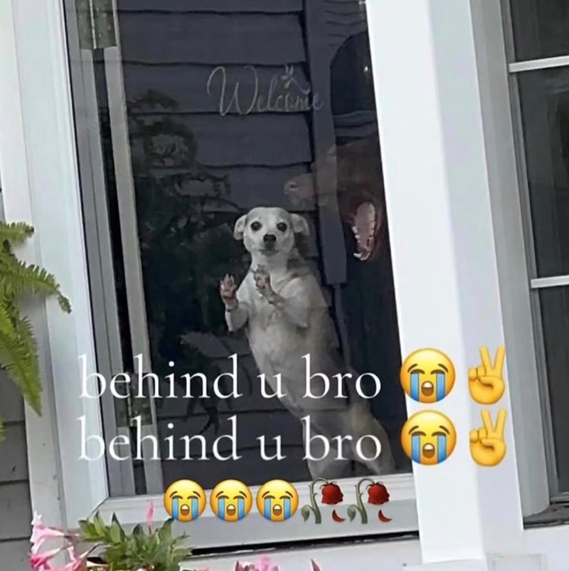 Welcome behind u bro behind u bro