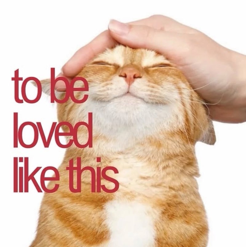 to be loved like this