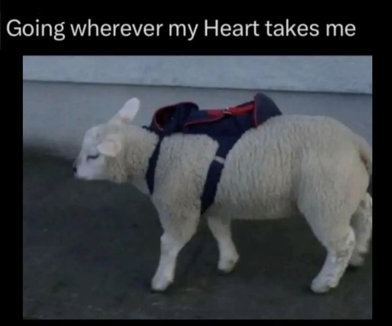 Going wherever my Heart takes me
