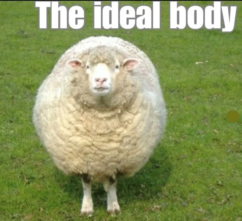 The ideal body