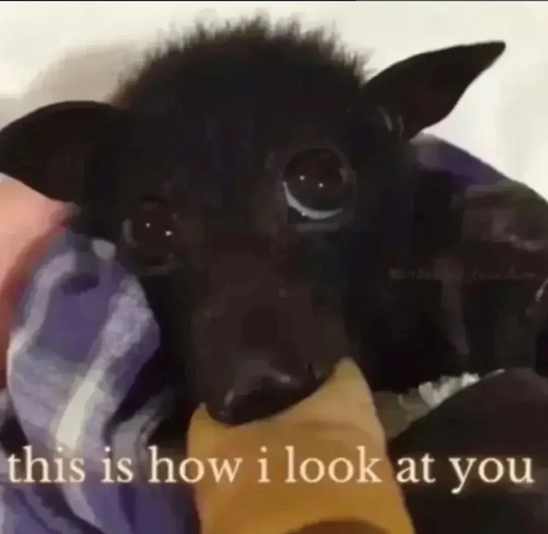 this is how i look at you