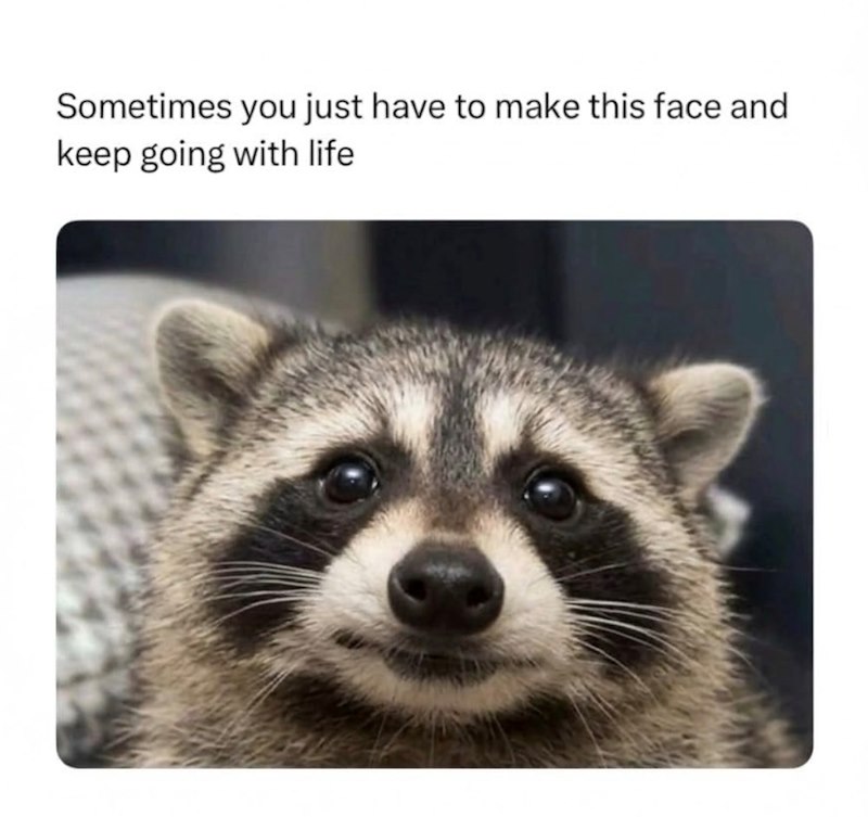 Sometimes you just have to make this face and keep going with life