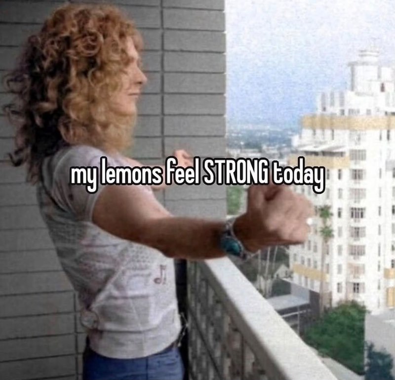 my lemons feel STRONG today