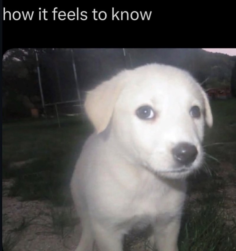 how it feels to know
