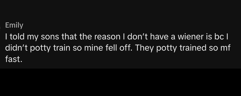 Emily I told my sons that the reason I don't have a wiener is bc I didn't potty train so mine fell off. They potty trained so mf fast.