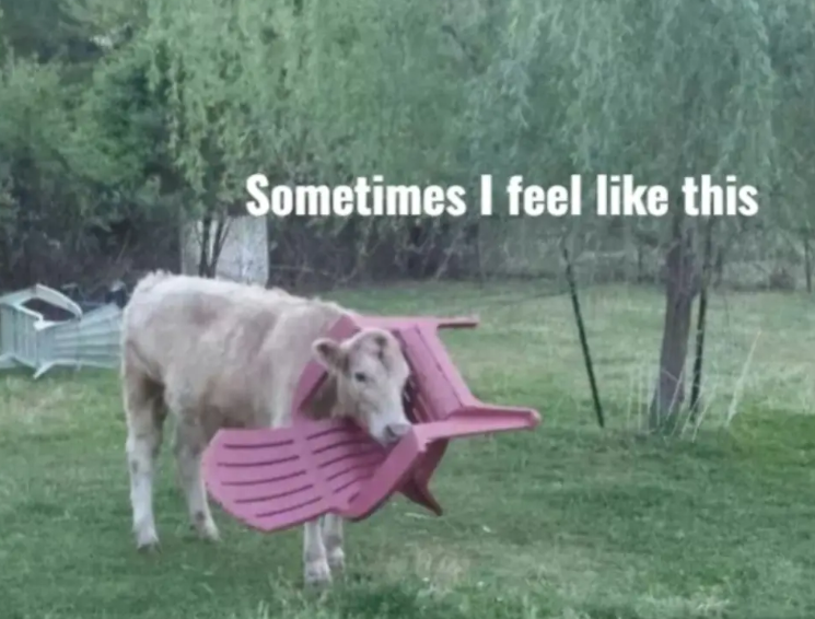 Sometimes I feel like this