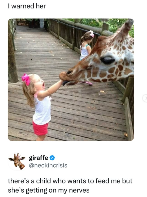 I warned her giraffe ❤ @neckincrisis there's a child who wants to feed me but she's getting on my nerves