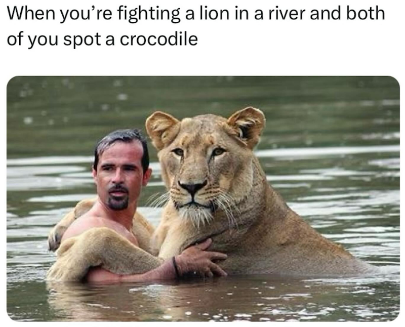 When you're fighting a lion in a river and both of you spot a crocodile