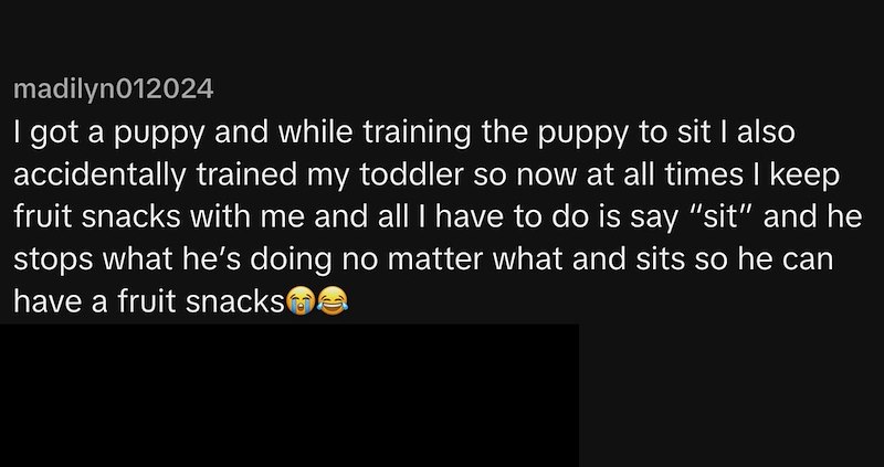 madilyn012024 I got a puppy and while training the puppy to sit I also accidentally trained my toddler so now at all times I keep fruit snacks with me and all I have to do is say “sit” and he stops what he's doing no matter what and sits so he can have a fruit snacks✪✪