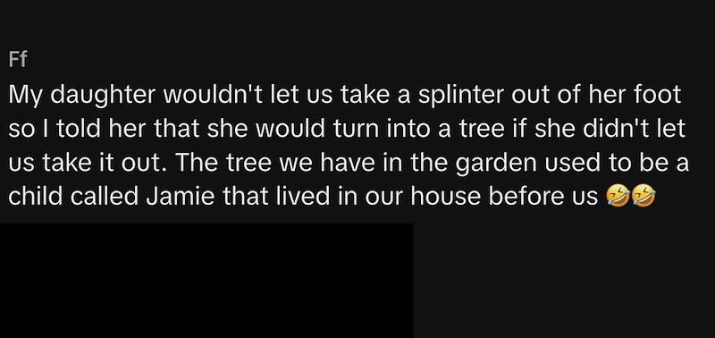 Ff My daughter wouldn't let us take a splinter out of her foot so I told her that she would turn into a tree if she didn't let us take it out. The tree we have in the garden used to be a child called Jamie that lived in our house before us