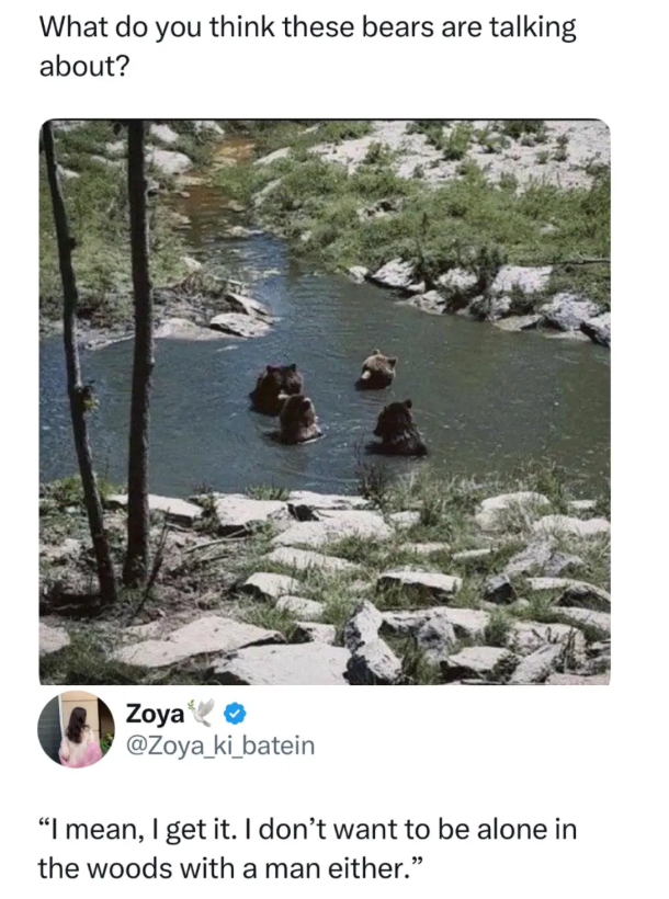 What do you think these bears are talking about? Zoya @Zoya_ki_batein "I mean, I get it. I don't want to be alone in the woods with a man either."