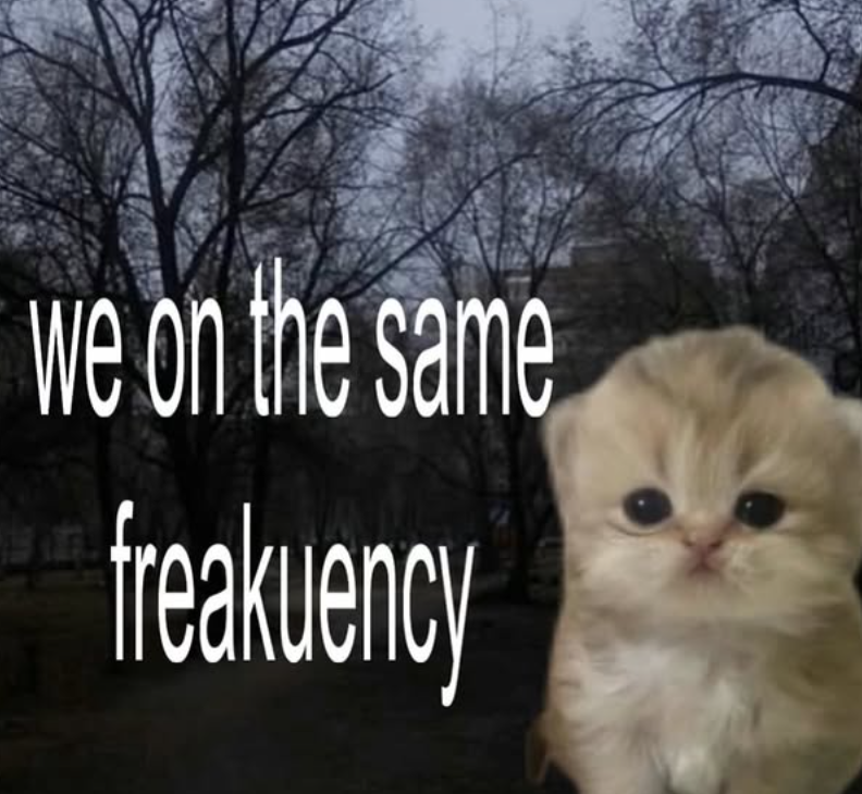 we on the same freakuency