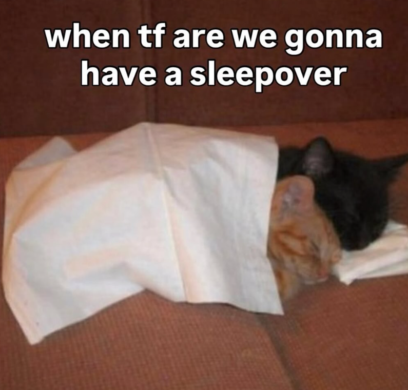 when tf are we gonna have a sleepover