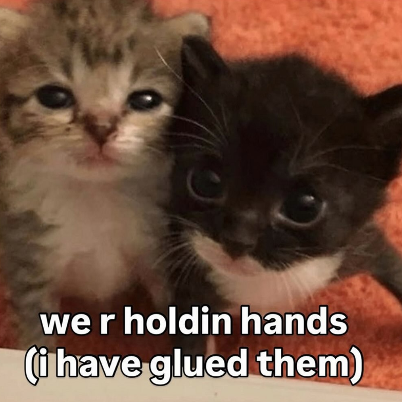 wer holdin hands (i have glued them)