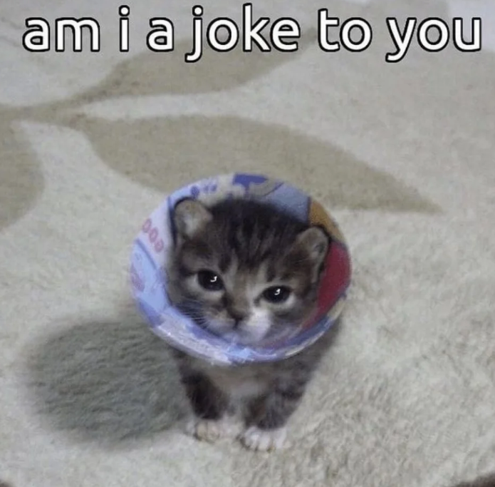 am i a joke to you