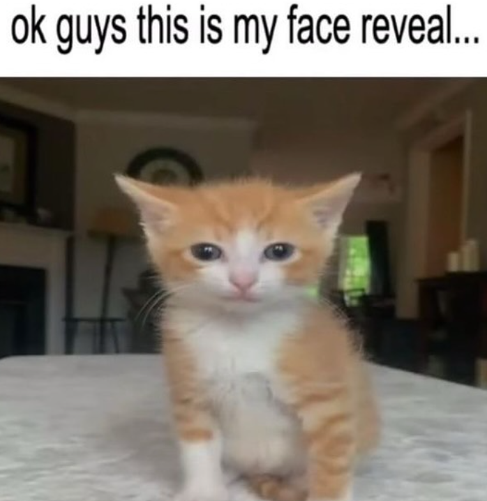 ok guys this is my face reveal...