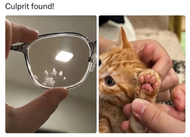 Culprit found!