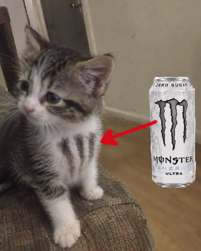 ZERO SUGAR MONSTER ENERG ULTRA
