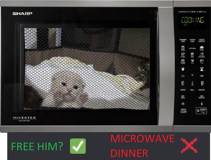 COOK wide DEFROST SHARP CONVECTION & GRILL COOKING INVERTER SENSOR T 0 L MORO GALL 631 STOP CLEAR START FREE HIM? MICROWAVE DINNER X