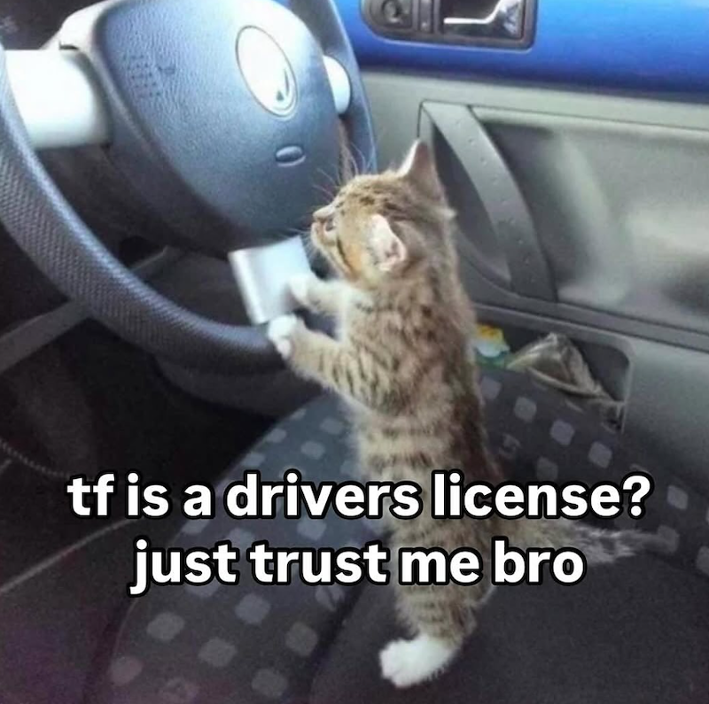 tf is a drivers license? just trust me bro