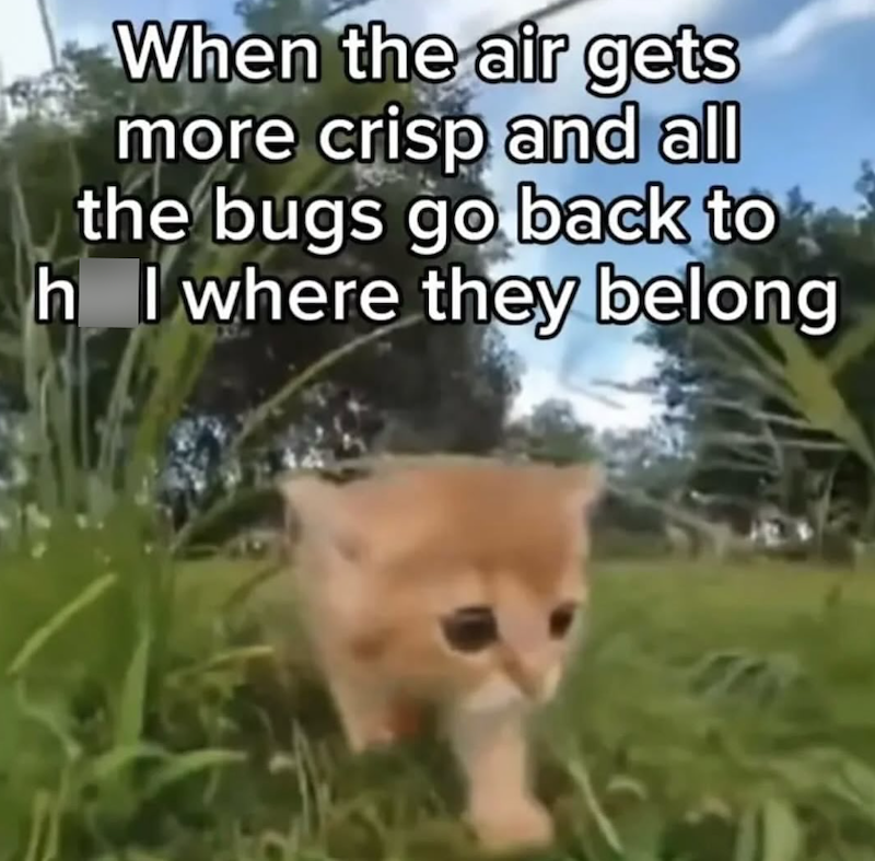 When the air gets more crisp and all the bugs go back to h I where they belong