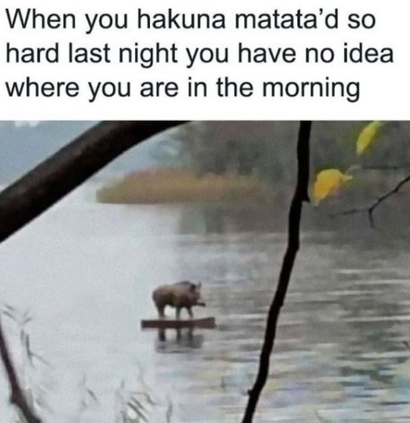 When you hakuna matata'd so hard last night you have no idea where you are in the morning.