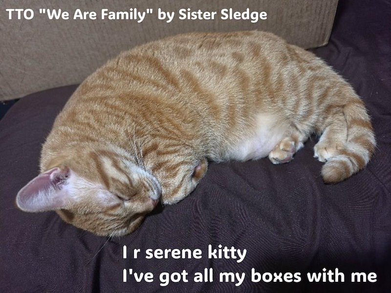 TTO "We Are Family" by Sister Sledge I r serene kitty I've got all my boxes with me