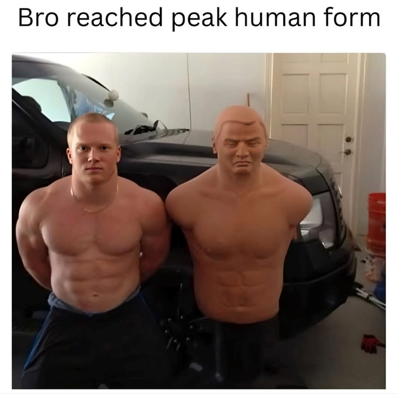 Bro reached peak human form
