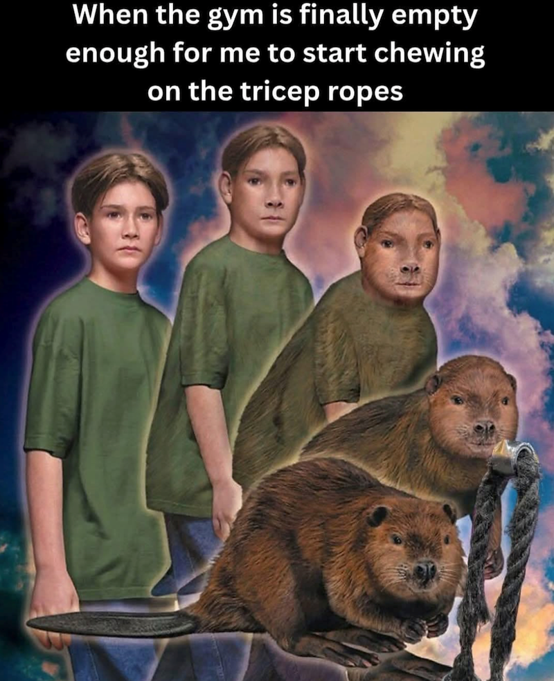 When the gym is finally empty enough for me to start chewing on the tricep ropes