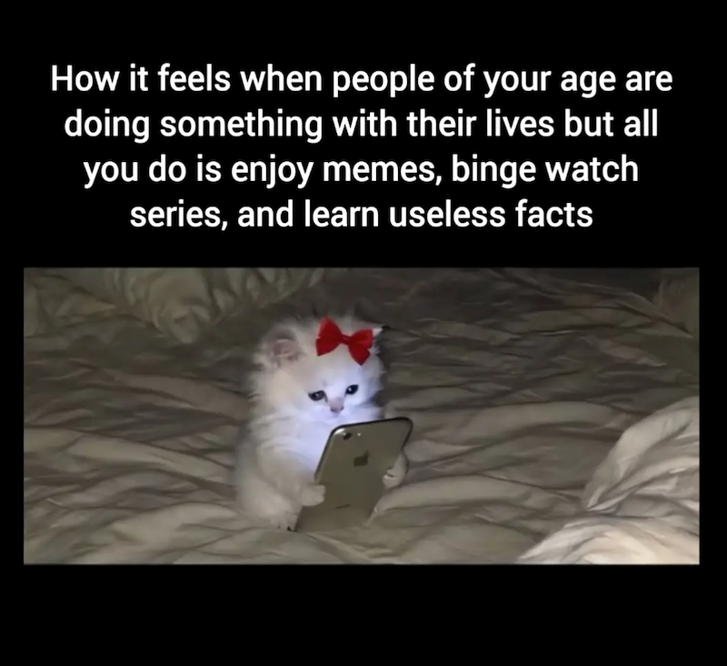 How it feels when people of your age are doing something with their lives but all you do is enjoy memes, binge watch series, and learn useless facts