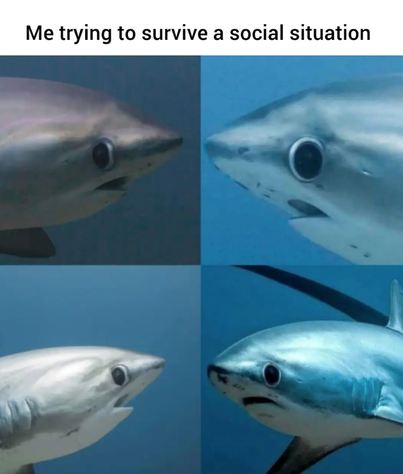 Me trying to survive a social situation