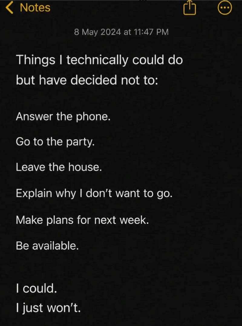 Notes 8 May 2024 at 11:47 PM Things I technically could do but have decided not to: Answer the phone. Go to the party. Leave the house. Explain why I don't want to go. Make plans for next week. Be available. I could. I just won't. G