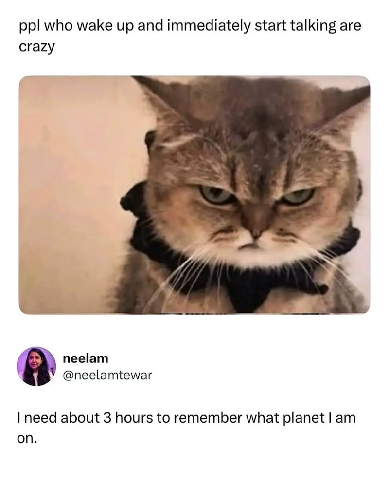 ppl who wake up and immediately start talking are crazy neelam @neelamtewar I need about 3 hours to remember what planet I am on.