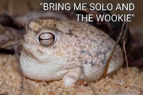 "BRING ME SOLO AND THE WOOKIE"