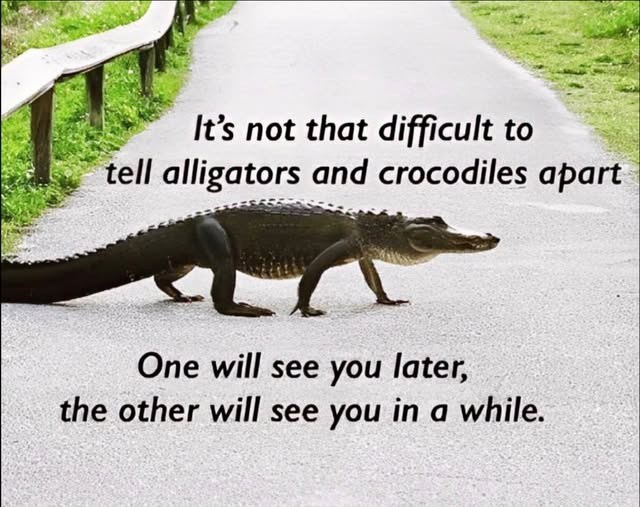 It's not that difficult to tell alligators and crocodiles apart One will see you later, the other will see you in a while.