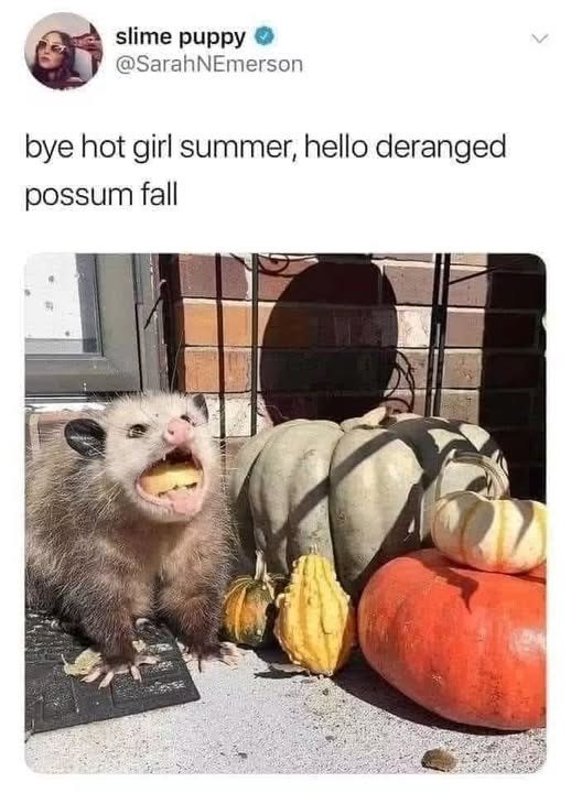 slime puppy @SarahNEmerson bye hot girl summer, hello deranged possum fall