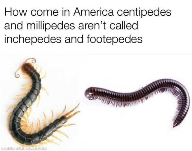 How come in America centipedes and millipedes aren't called inchepedes and footepedes ટ made with mematic