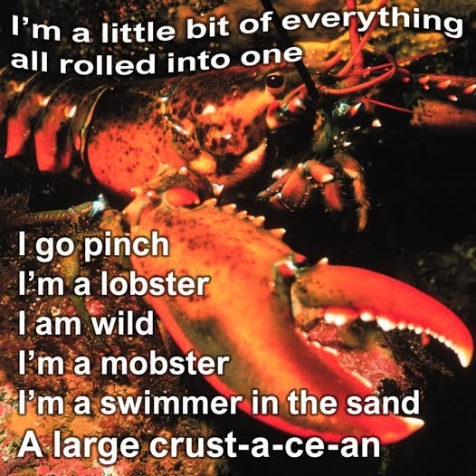 I'm a little bit of everything all rolled into one I go pinch I'm a lobster I am wild I'm a mobster I'm a swimmer in the sand A large crust-a-ce-an
