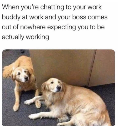 When you're chatting to your work buddy at work and your boss comes out of nowhere expecting you to be actually working