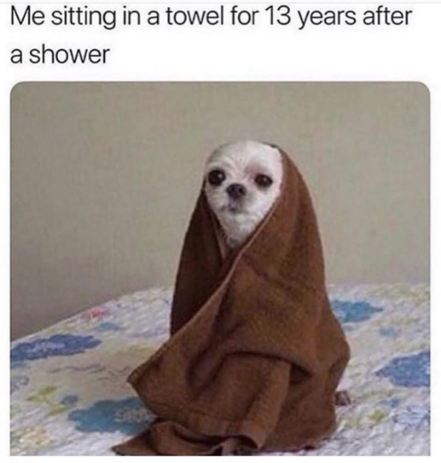 Me sitting in a towel for 13 years after a shower