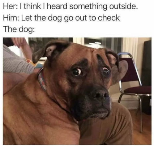 Her: I think I heard something outside. Him: Let the dog go out to check The dog: