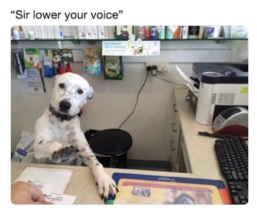 "Sir lower your voice" 5230